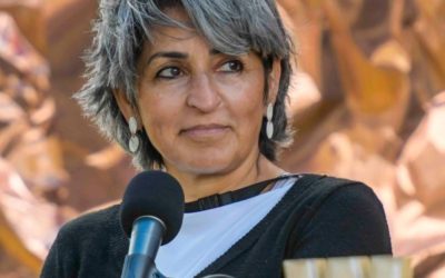 Amplifying Palestine Through Art: Author-Activist Susan Albuhawa Discusses the Palestine Writes Festival