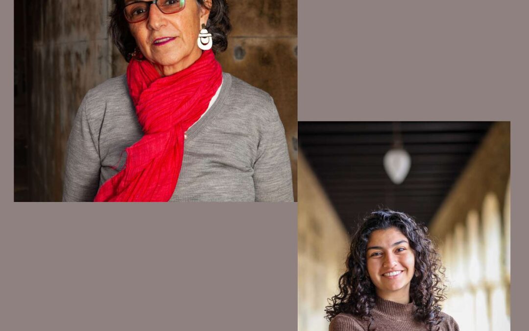 Shaping Iranian Diasporic Identities in Times of Crisis and Change: A Conversation with Persis Karim and Roya Ahmadi