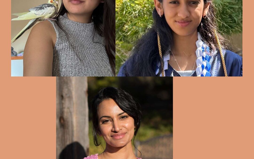 South Bay Youth Changemakers: Going Beyond the Stereotype of “Asian American” to Realize a Broad Sense of Community and Activism in Silicon Valley