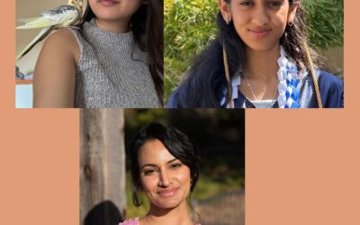 South Bay Youth Changemakers: Going Beyond the Stereotype of “Asian American” to Realize a Broad Sense of Community and Activism in Silicon Valley